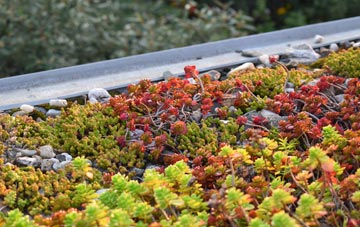 the cost of Draperstown green roof installation