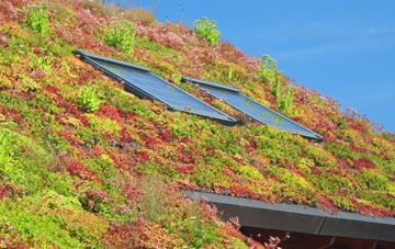 Draperstown living roof systems